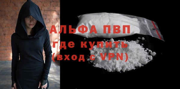 молекула духа Сковородино