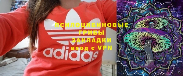 дживик Михайловск