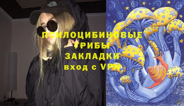 дживик Михайловск
