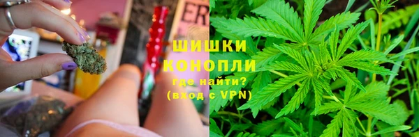 дживик Михайловск