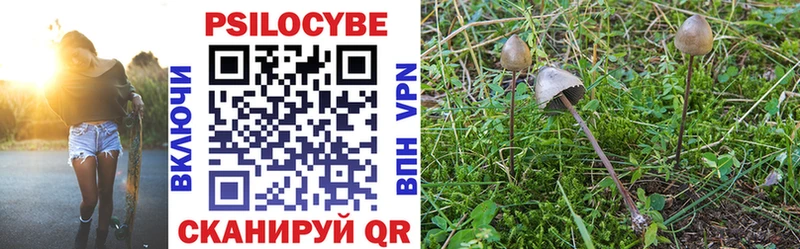 площадка наркотические препараты Крым Псилоцибиновые грибы Cubensis